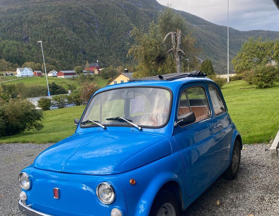 5405441  FIAT 500L 500