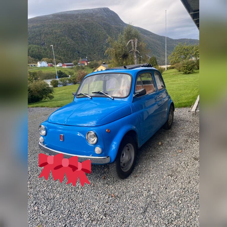5405444  FIAT 500L 500