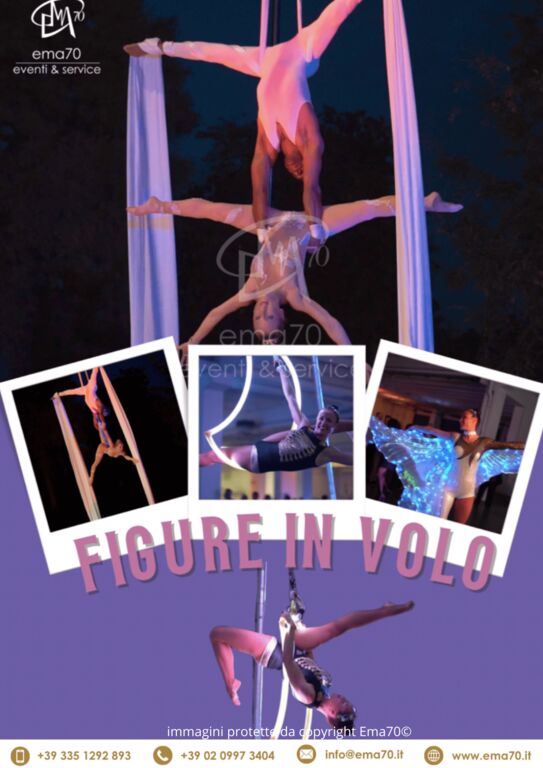 5408733 Figure in volo