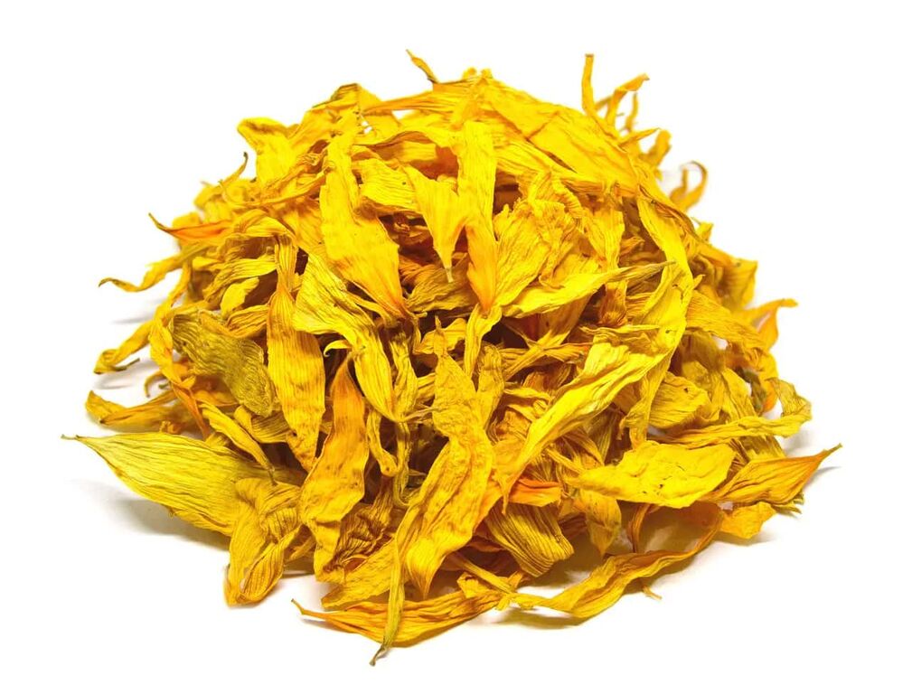 5356740 Fiori di girasole