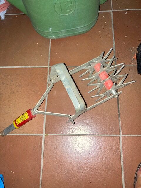 5351346 Frangizolle wolf