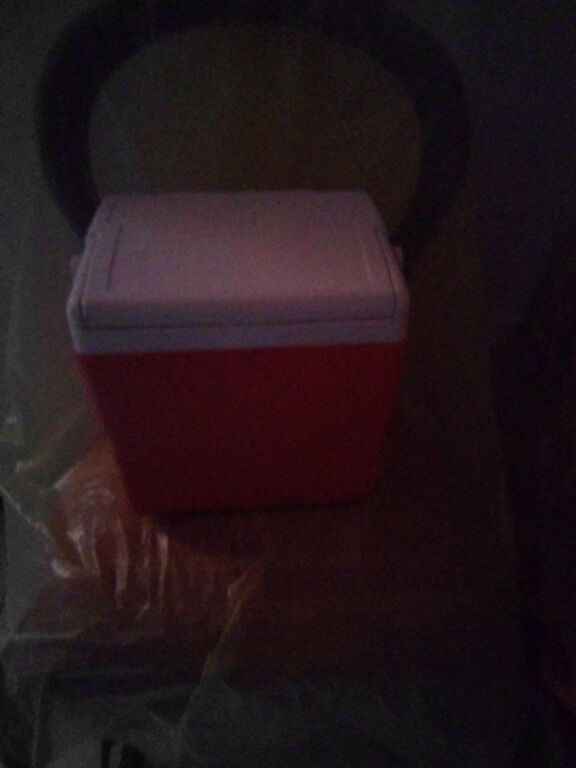 5386941 Frigo portatili rigido e