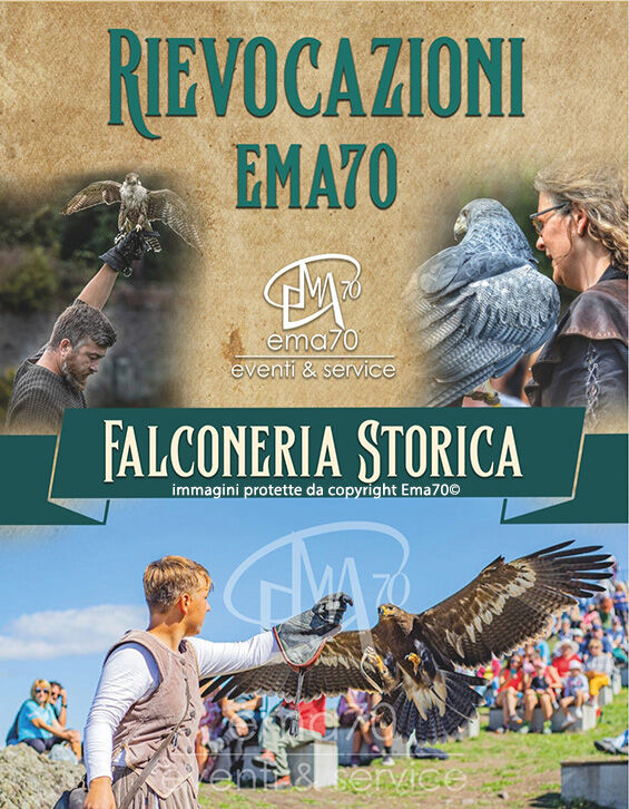 5408312 I falconieri