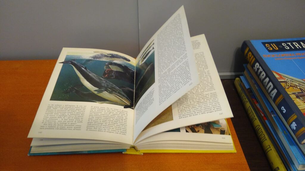 5350244 Il grande libro del mare arnoldo