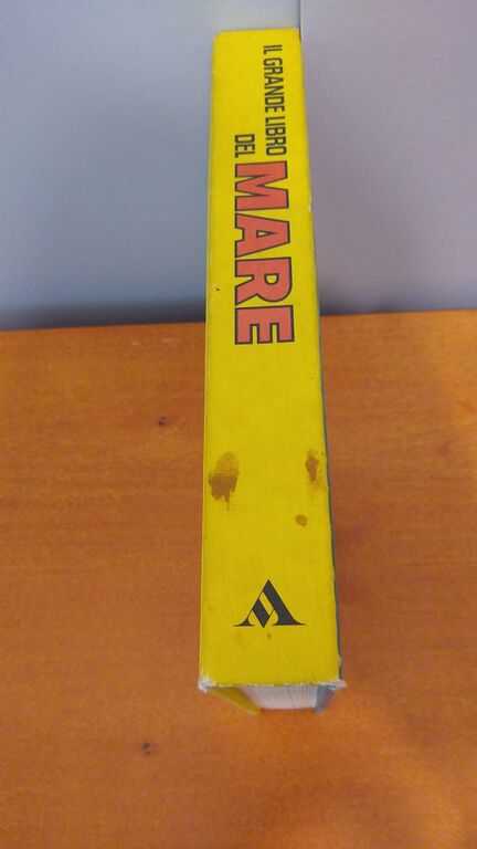 5350245 Il grande libro del mare arnoldo