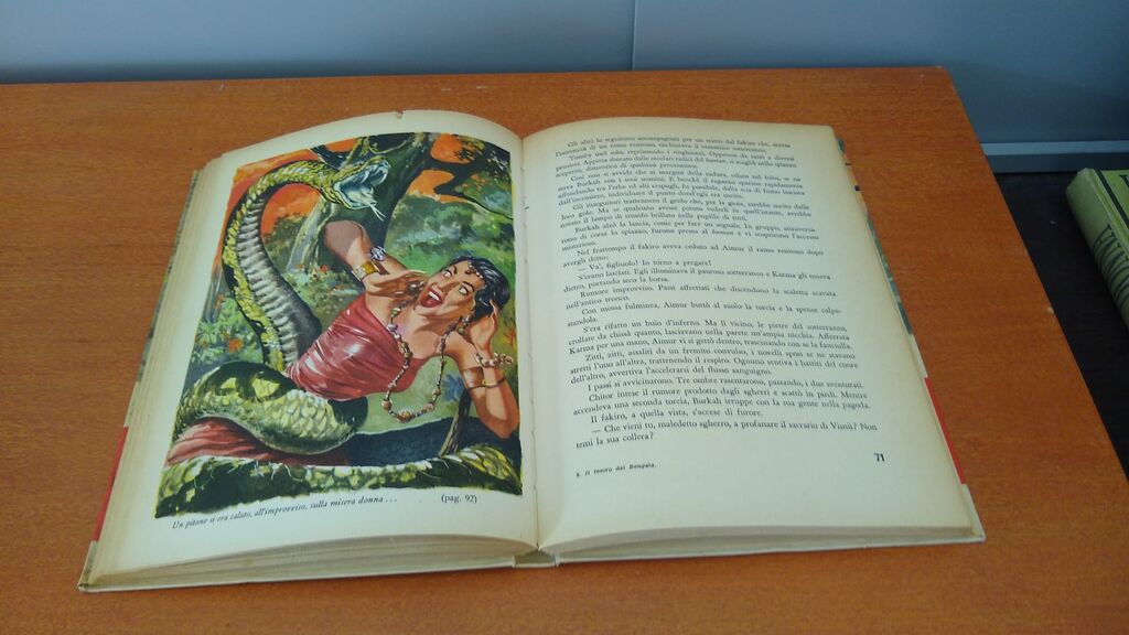 5349806 Il tesoro del bengala – omar