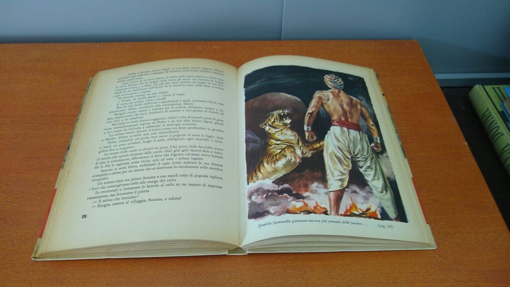 5349810 Il tesoro del bengala – omar