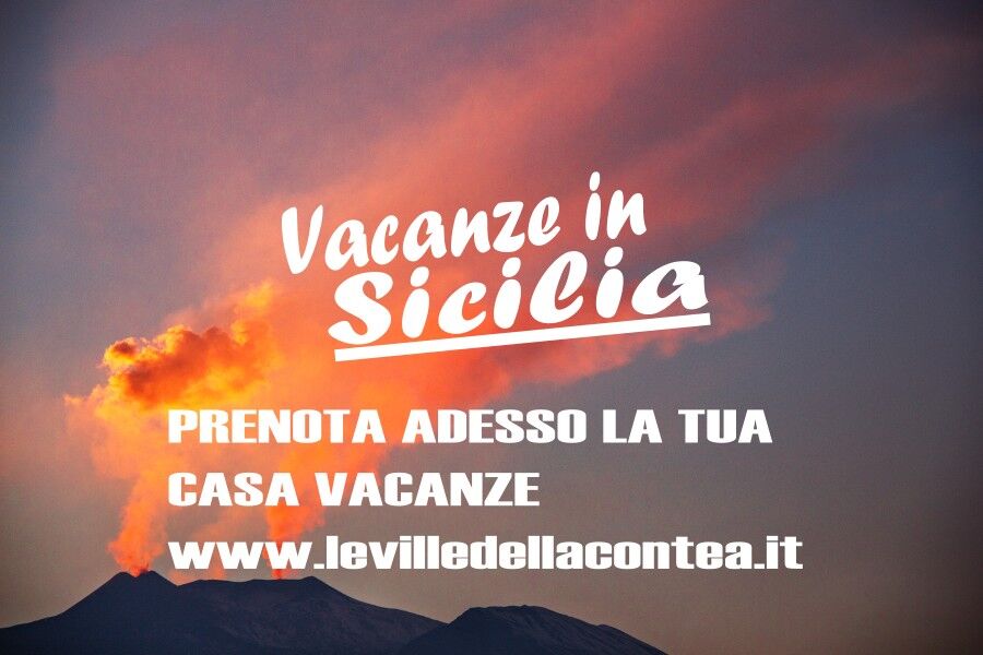 5353588  in affitto appartamento ideale