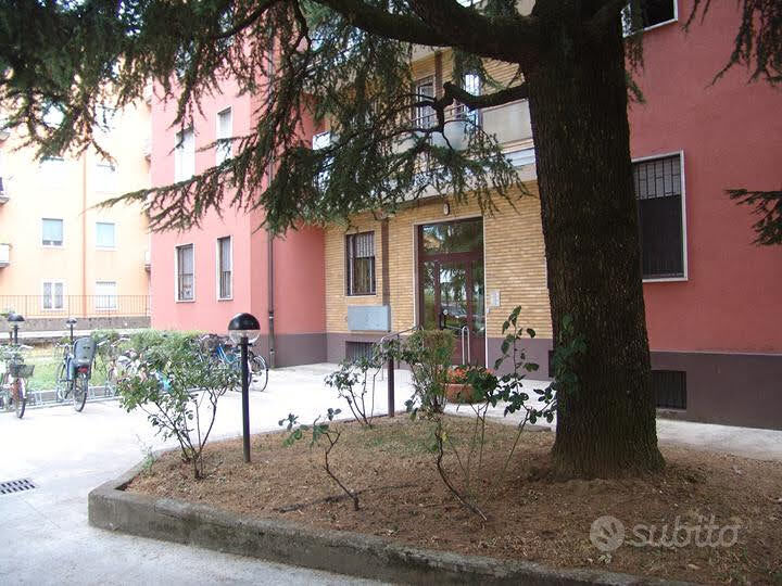 5362168  in affitto monolocale ideale