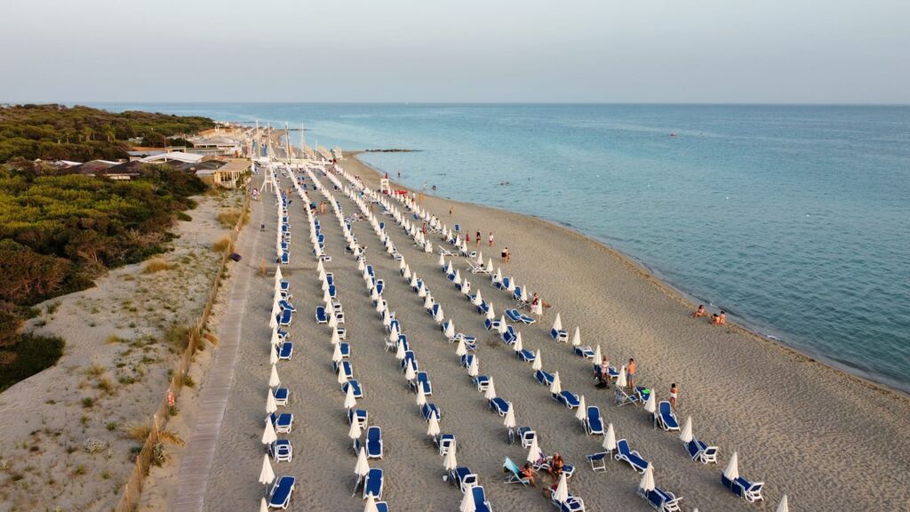 5365663  in affitto bilocale ideale