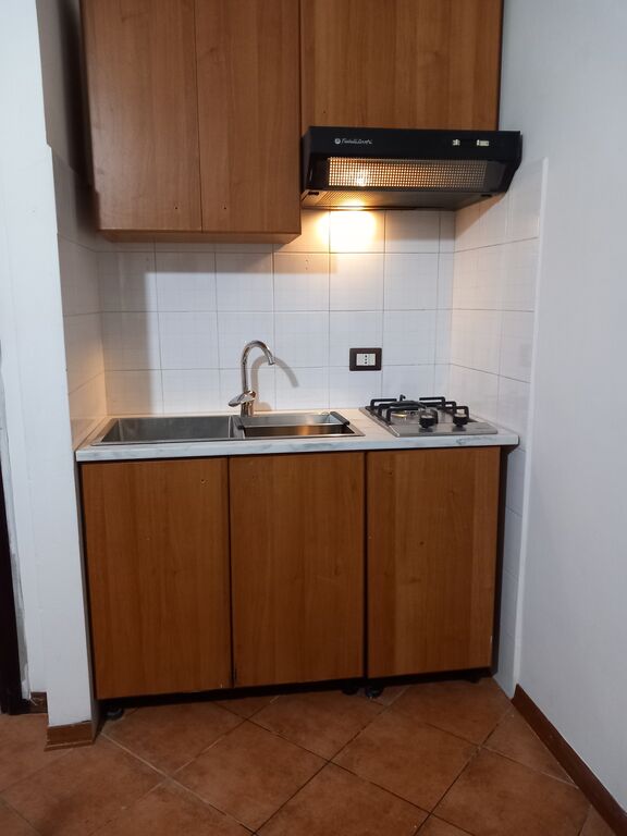 5369751  in affitto appartamento ideale