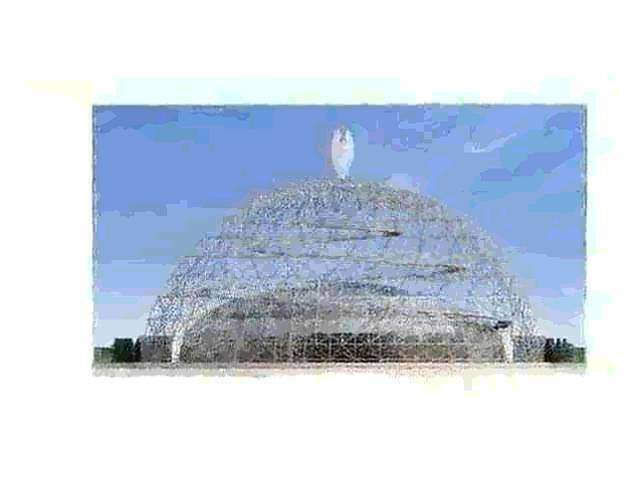 5375558  in affitto monolocale ideale