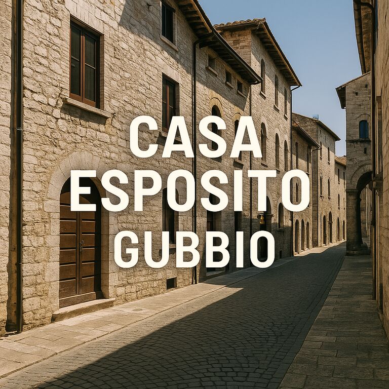 5376469  in affitto appartamento ideale