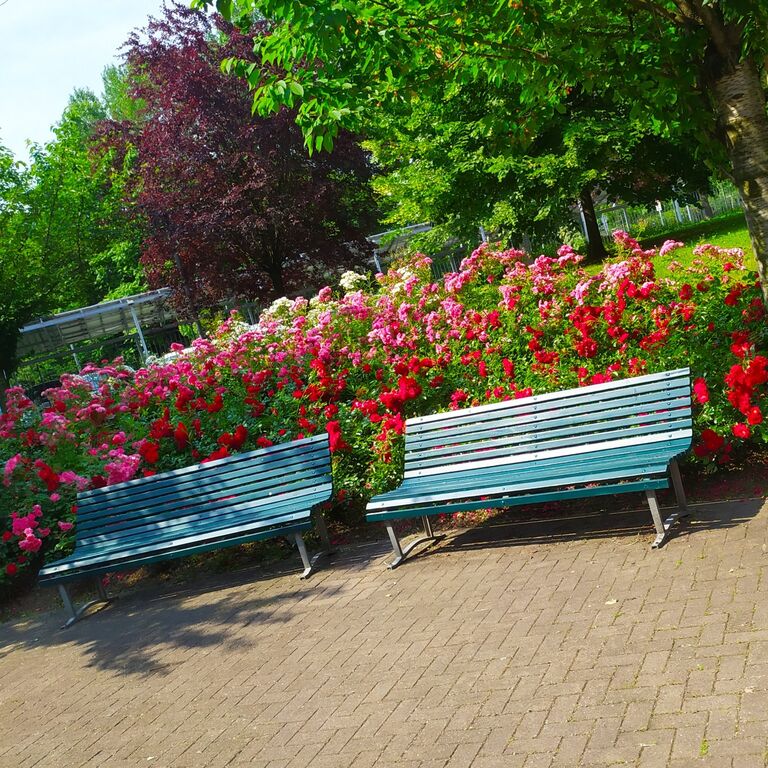 5378521  in affitto monolocale ideale