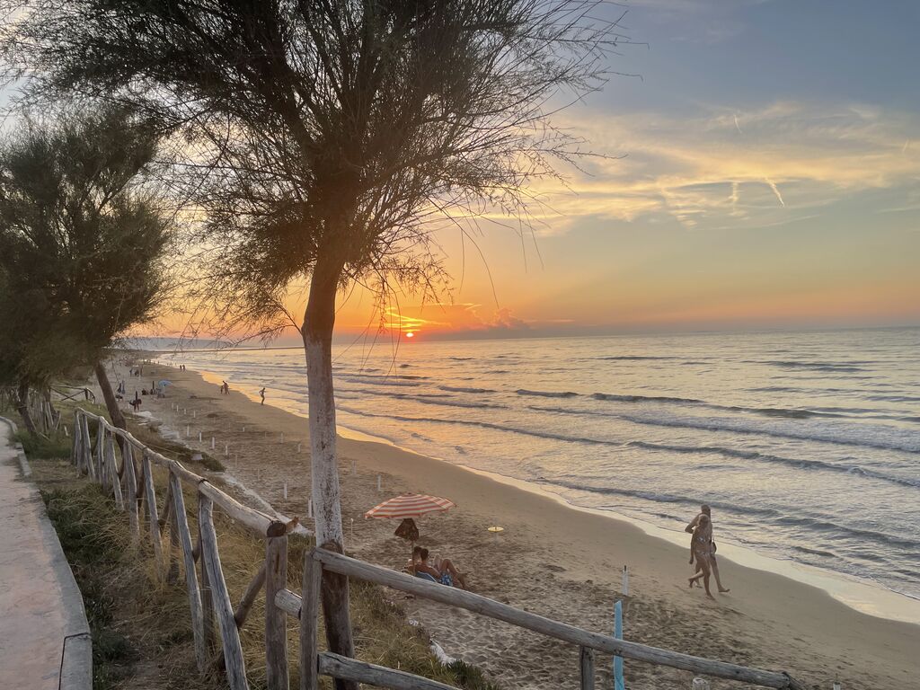 5384448  in affitto appartamento ideale