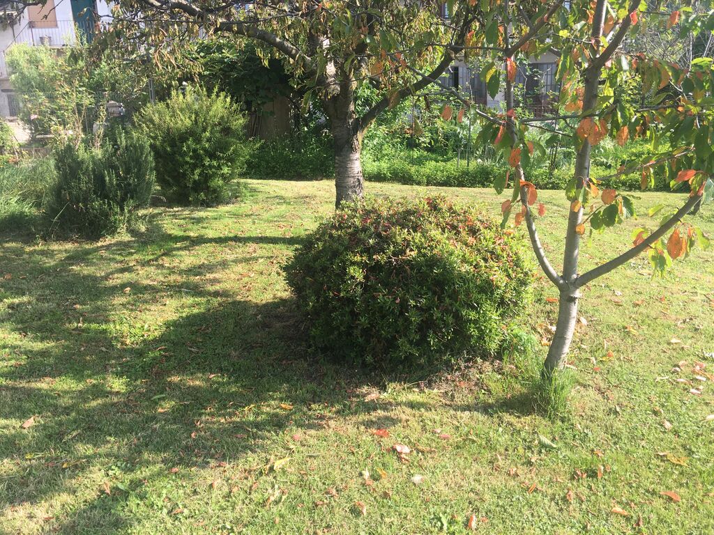 5385552  in affitto villa a 400 metri