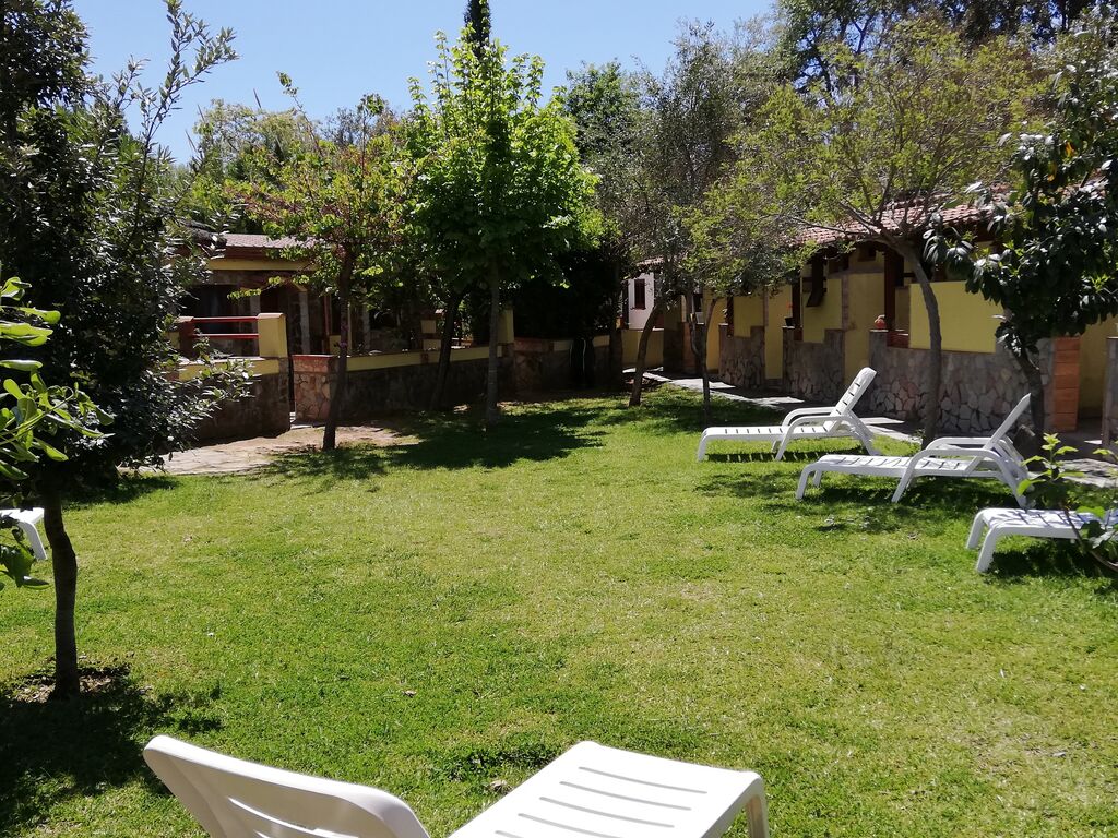 5386215  in affitto monolocale ideale