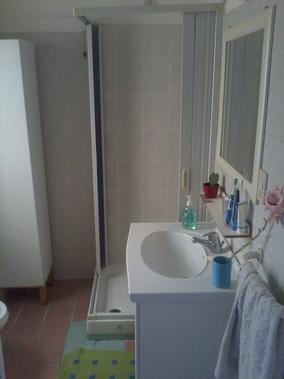 5393962  in affitto appartamento ideale