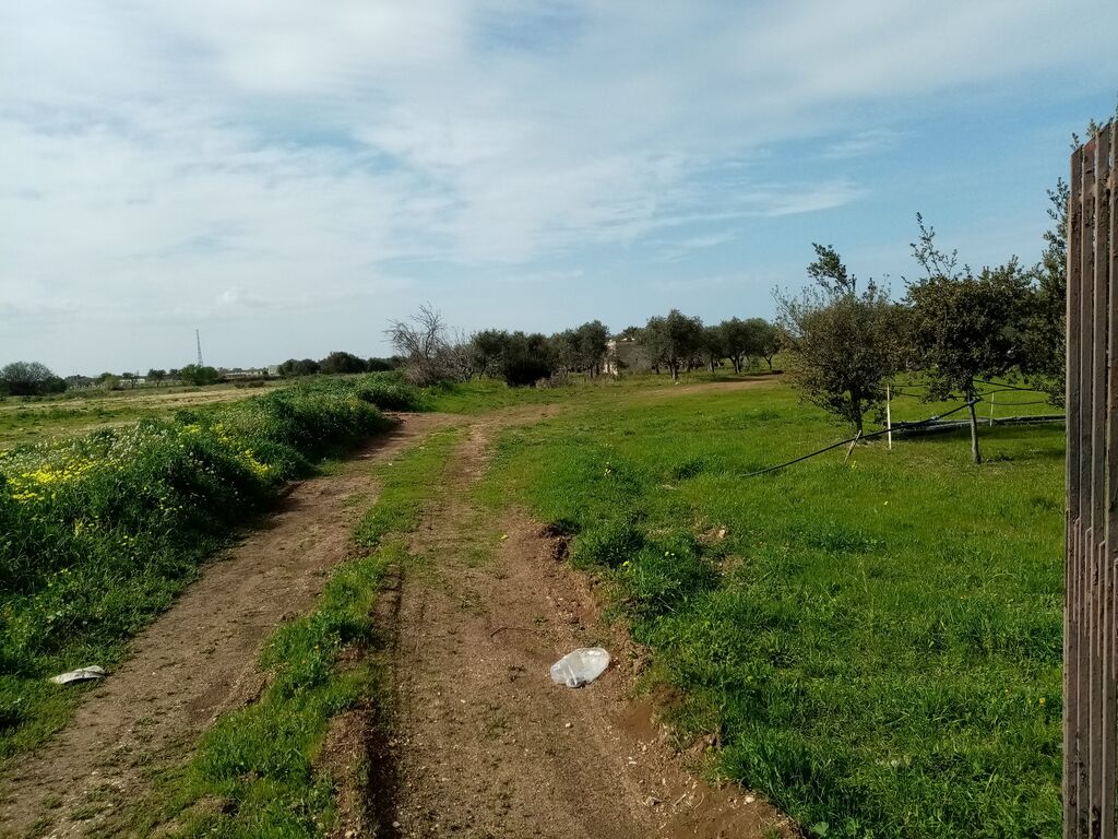5404252  in affitto terreno edificabile
