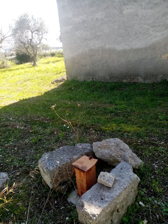 5404720  in affitto terreno edificabile