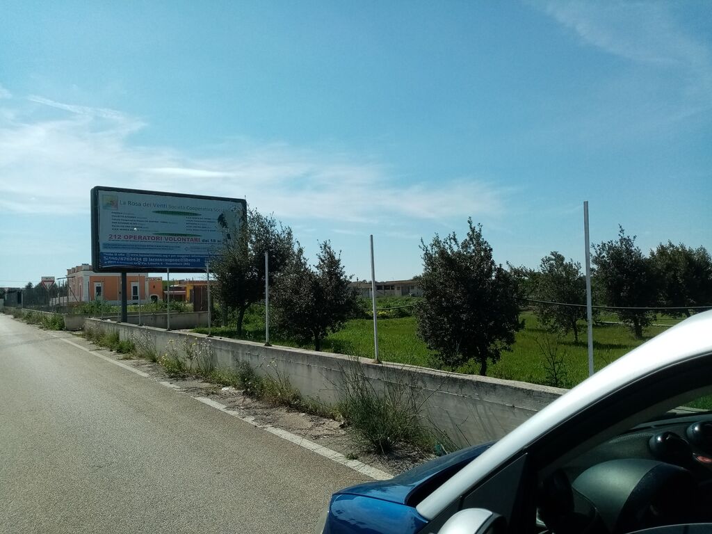 5405186  in affitto terreno edificabile