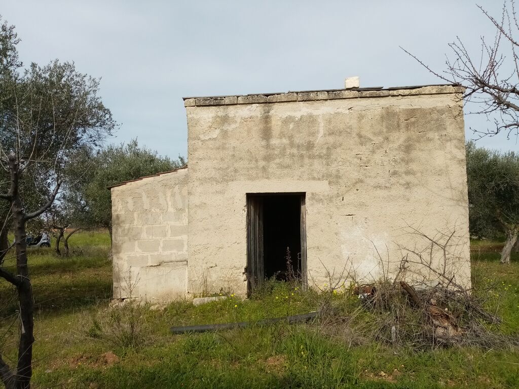 5405418  in affitto terreno edificabile