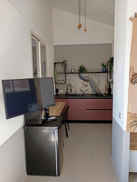 5406953  in affitto appartamento ideale
