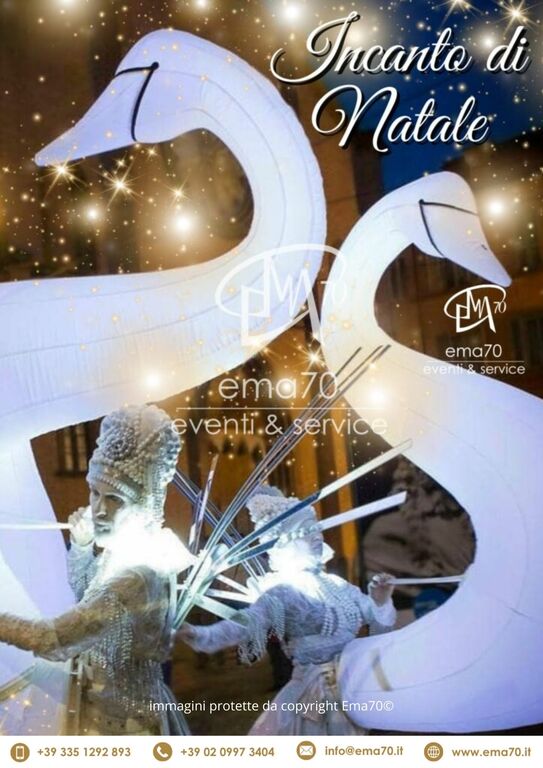 5407826 Incanto di natale