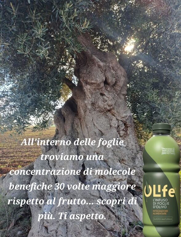 5348167 Integratore naturale 100%