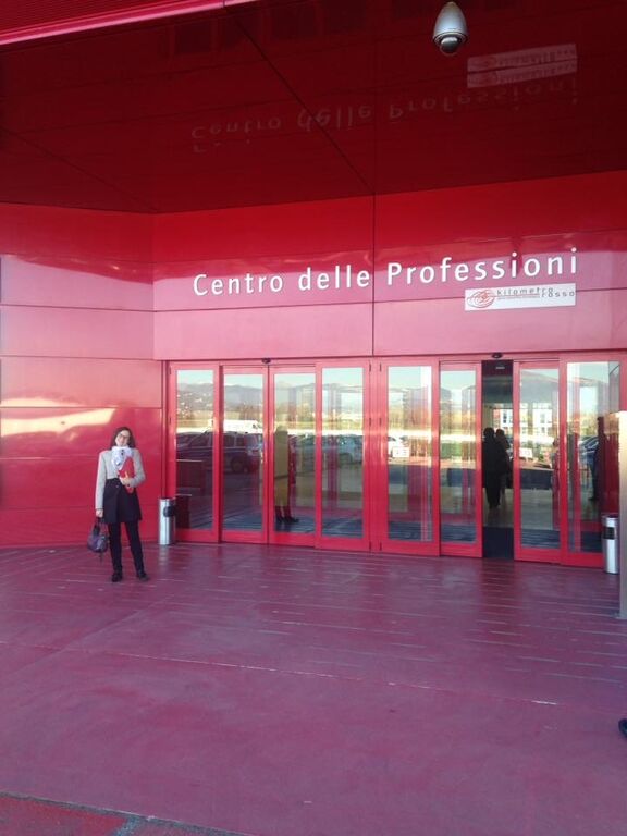 5407706 Interprete, traduttrice