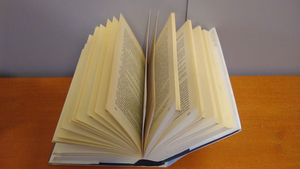 5349388 La polvere e l'oro