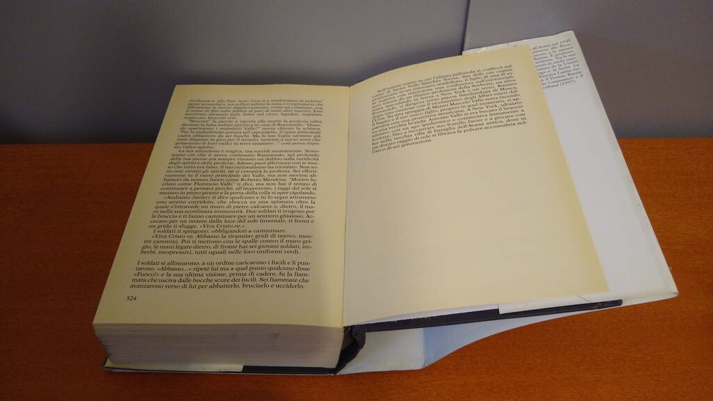 5349389 La polvere e l'oro