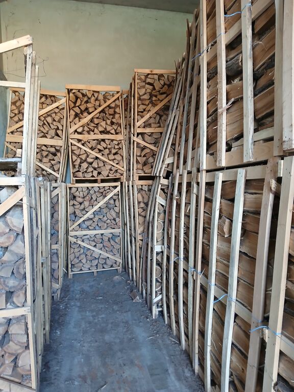 5407998 Legna da ardere