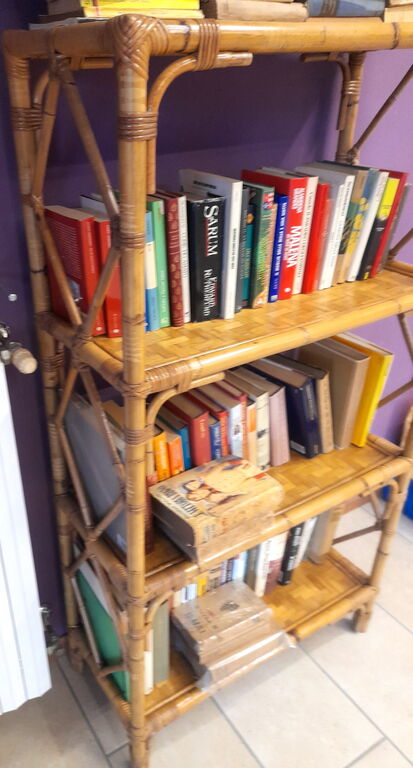 5376562 Libreria di vero bamboo 4