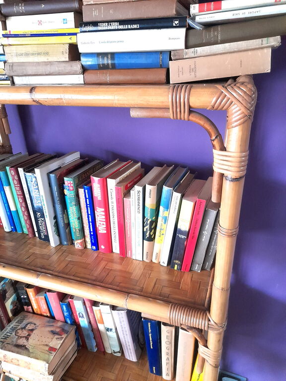 5376183 Lotto 100 libri mercatini