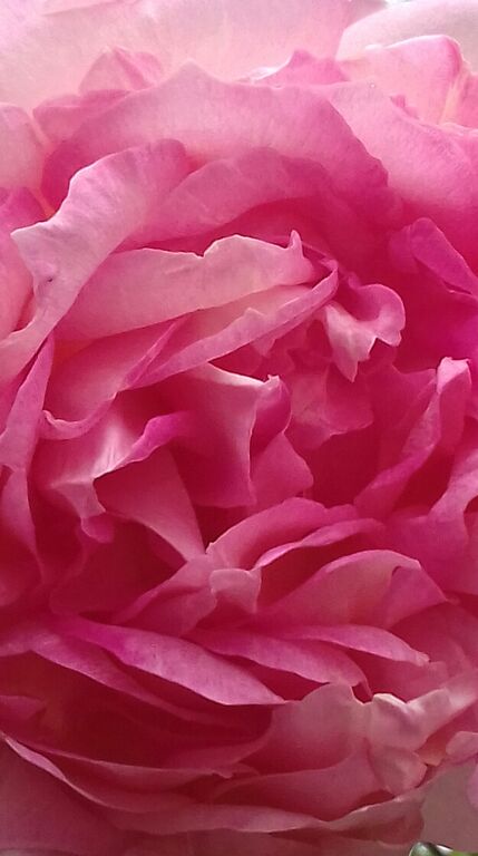 5410424 Massaggio rituale tantra