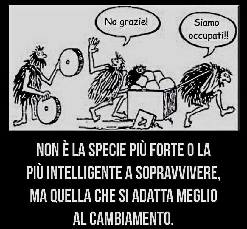 5361333 Nicoletta Moschetta  azienda