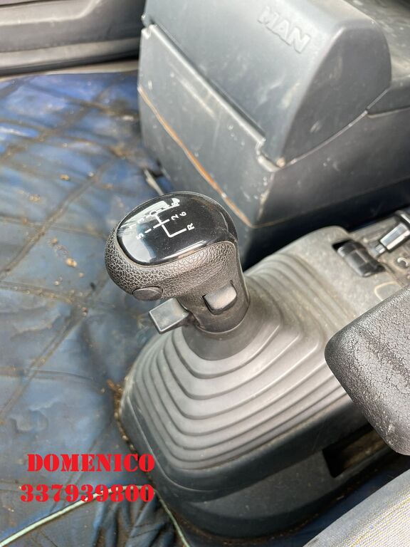 5390786 Motore e cambio marce manuale zf