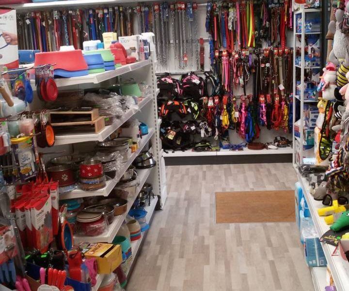 5356005 Negozio animali accessori e