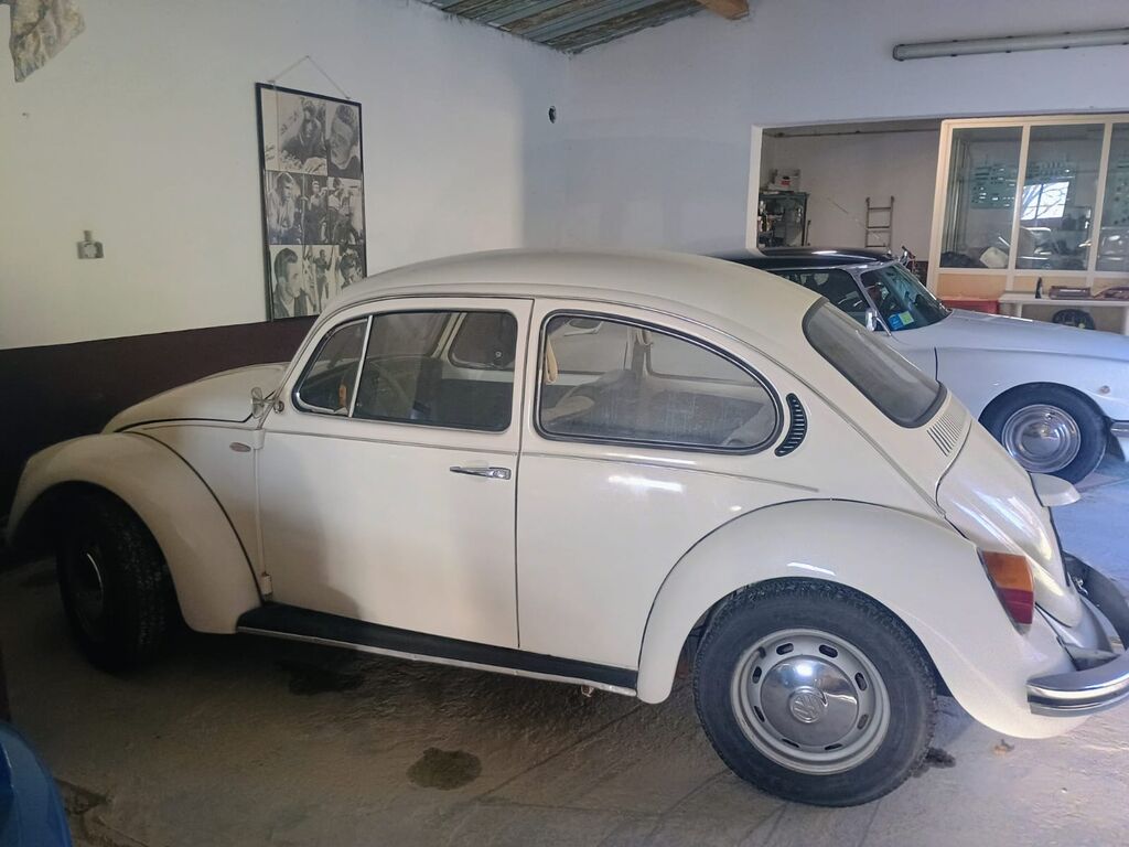 5391266 Noleggio auto con conducente