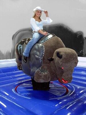 5390779 Noleggio  giochi  gonfiabili