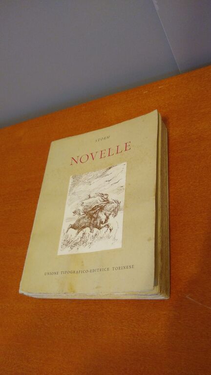 5346618 Novelle