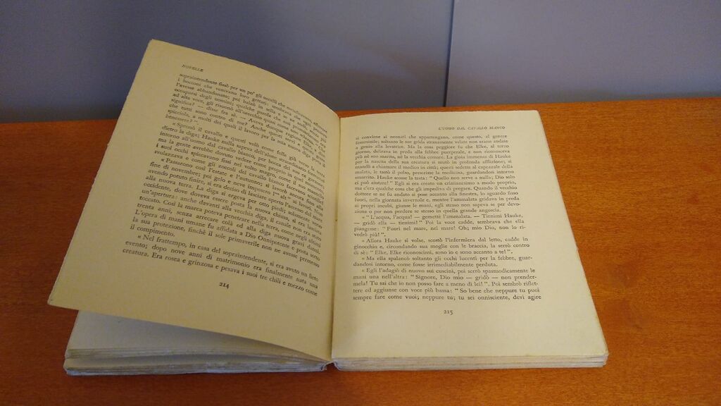 5346621 Novelle