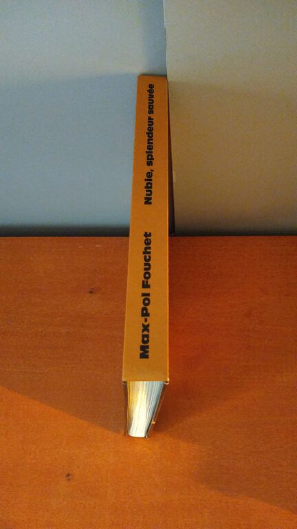 5349398 Nubie, splendeur sauvée /