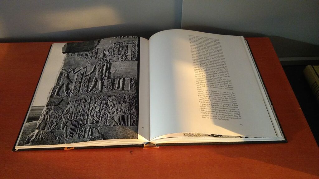 5349400 Nubie, splendeur sauvée /