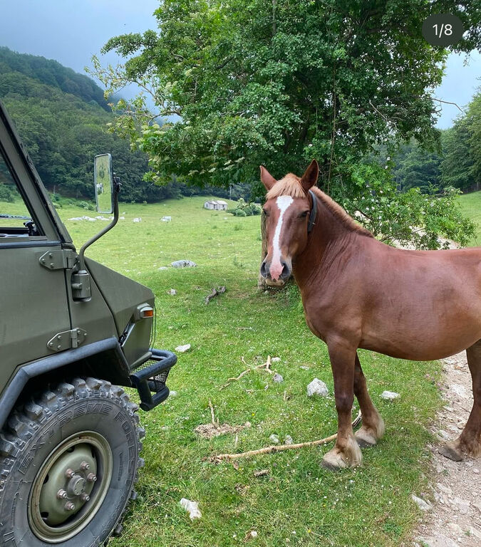 5348608 Off road experience