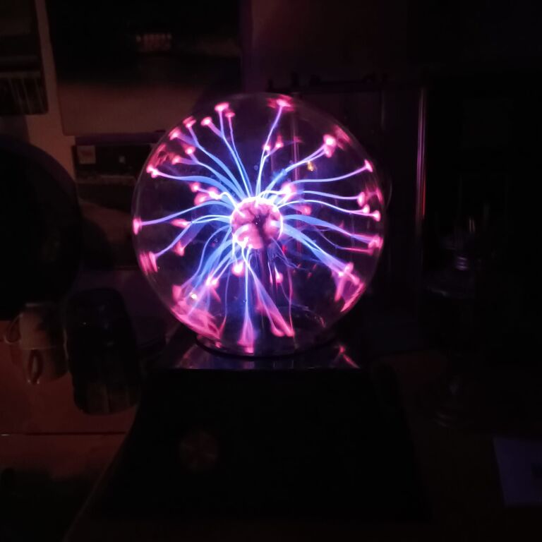 5395863 IL PRANOPRATICO azienda operante