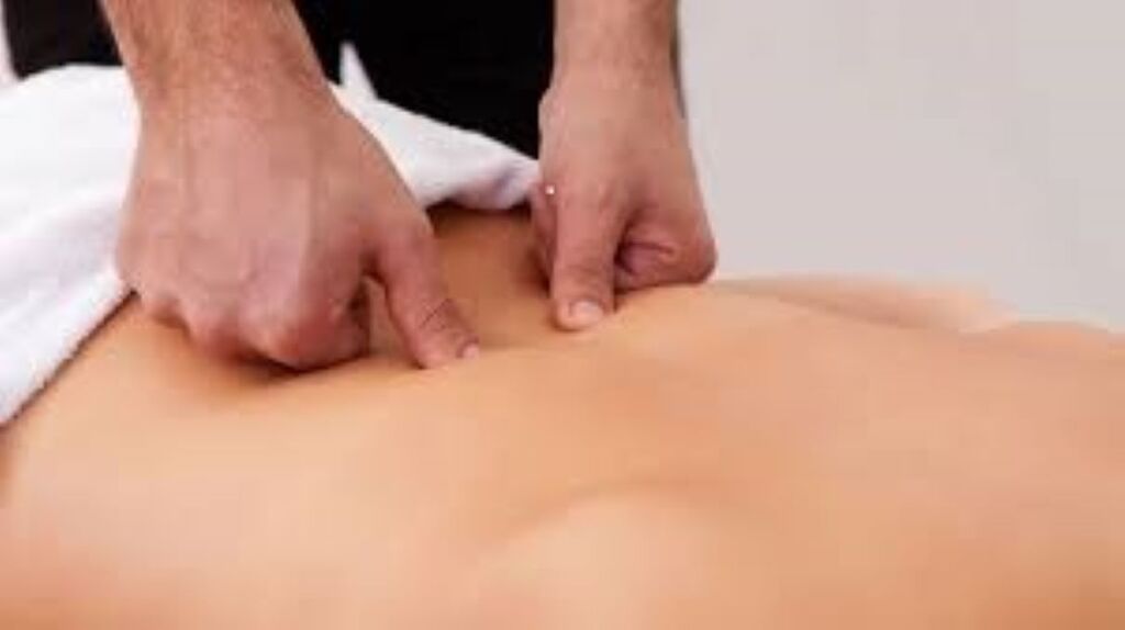 5407277 IL PRANOTERAPEUTA azienda