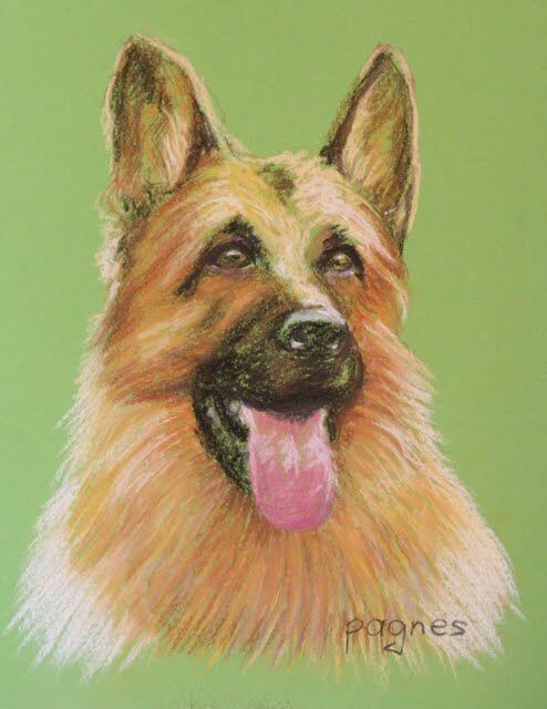 5372244 Ritratti di animali a pastelli