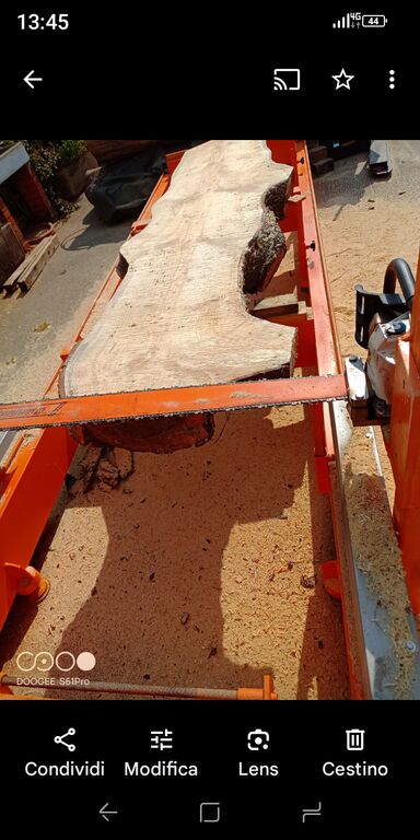 5354624 Segatronchi orizzontale da 6